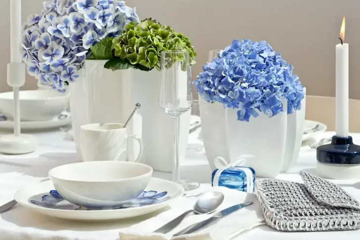 Arabia Syva Lautanen 24H 18Cm