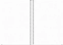 Burde Kalenteri 2024 Scribble Ii A5