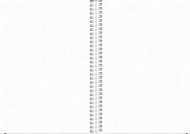 Burde Kalenteri 2024 Scribble Ii A5