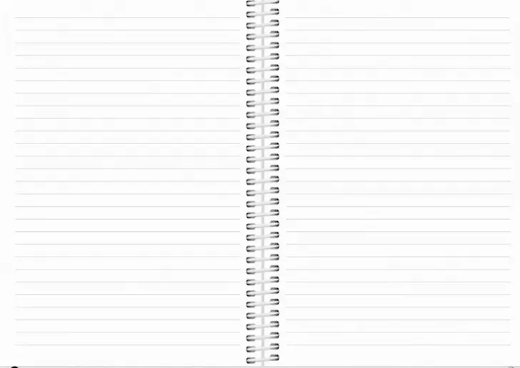 Burde Kalenteri 2024 Scribble Ii A5