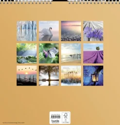 Burde Seinakalenteri 2024 Carpe Diem