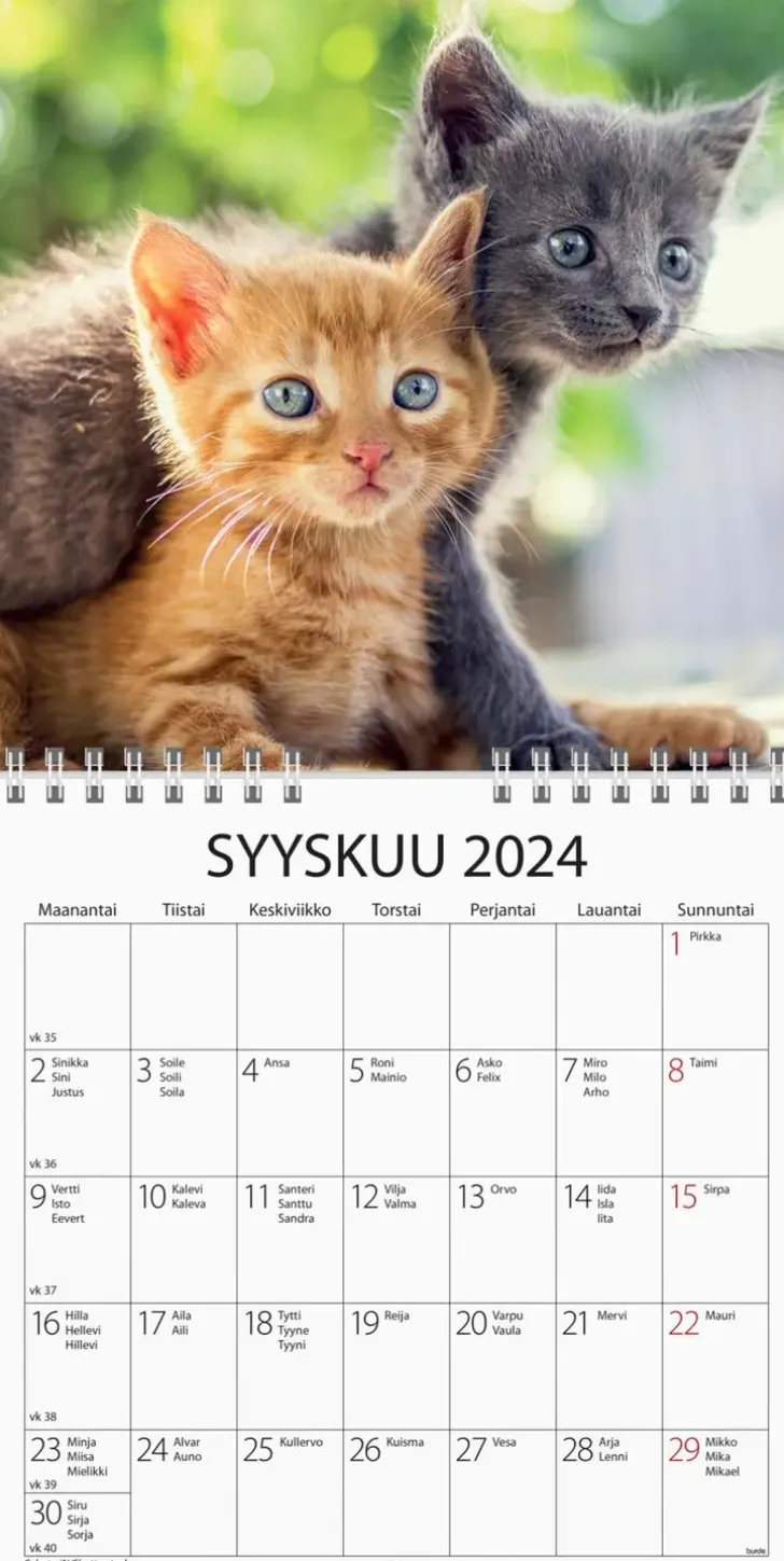 Burde Seinakalenteri 2024 Kissanpennut