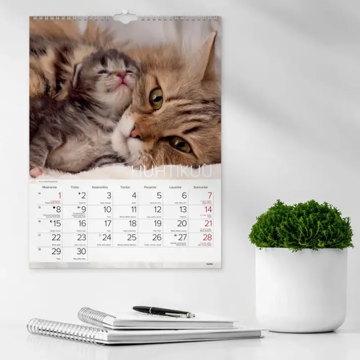 Burde Seinakalenteri 2024 Kissat