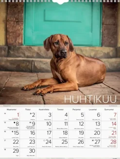 Burde Seinakalenteri 2024 Koirat