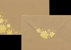 C6/10 Foliokirjekuori Lumihiutale Kulta, Uusio