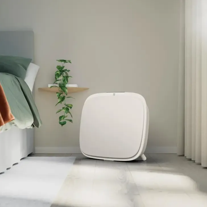 Electrolux Ilmanpuhdistin Wa51-302Wt