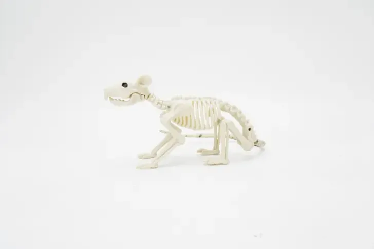 Halloween-Poytakoriste Hiiren Luuranko 38 Cm