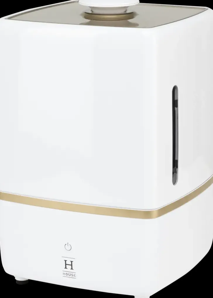 House Ilmankostutin Ah5023