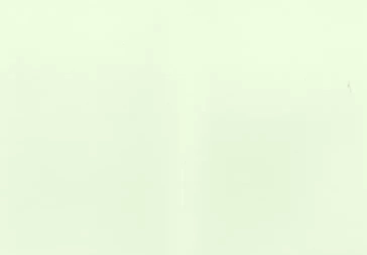 J.K. Primeco 2-Os Helmiaiskortti Vaaleanvihrea 10Kpl