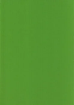 Karto Kartonki Kirkkaan Vihrea 50X70Cm 220Gsm 5Ark/Pss