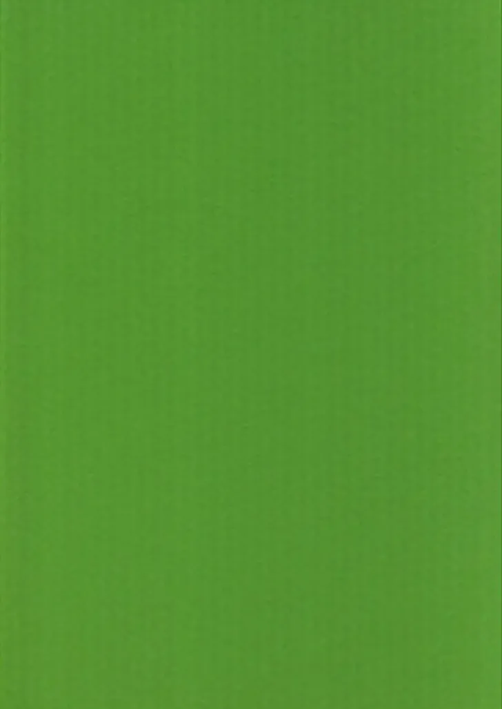 Karto Kartonki Kirkkaan Vihrea 50X70Cm 220Gsm 5Ark/Pss