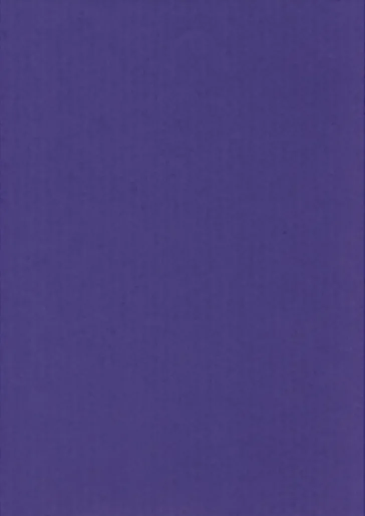 Karto Kartonki Lila 50X70Cm 220Gsm 5Ark/Pss