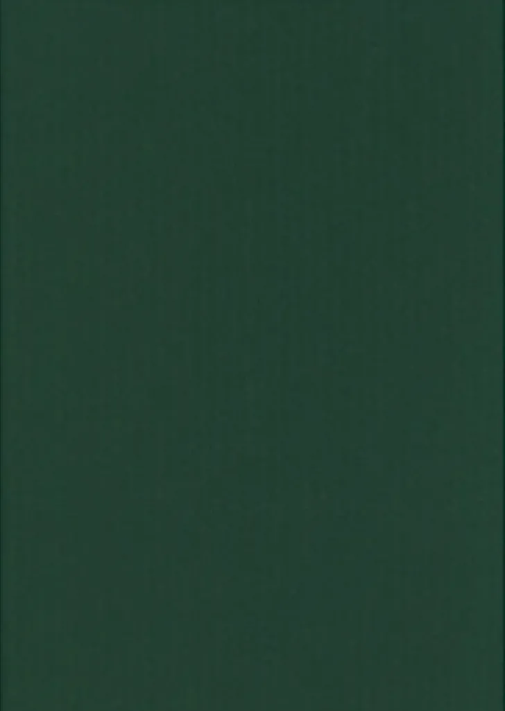 Karto Kortti Joulunvihrea 10X15Cm 220Gsm 10Kpl/Pss