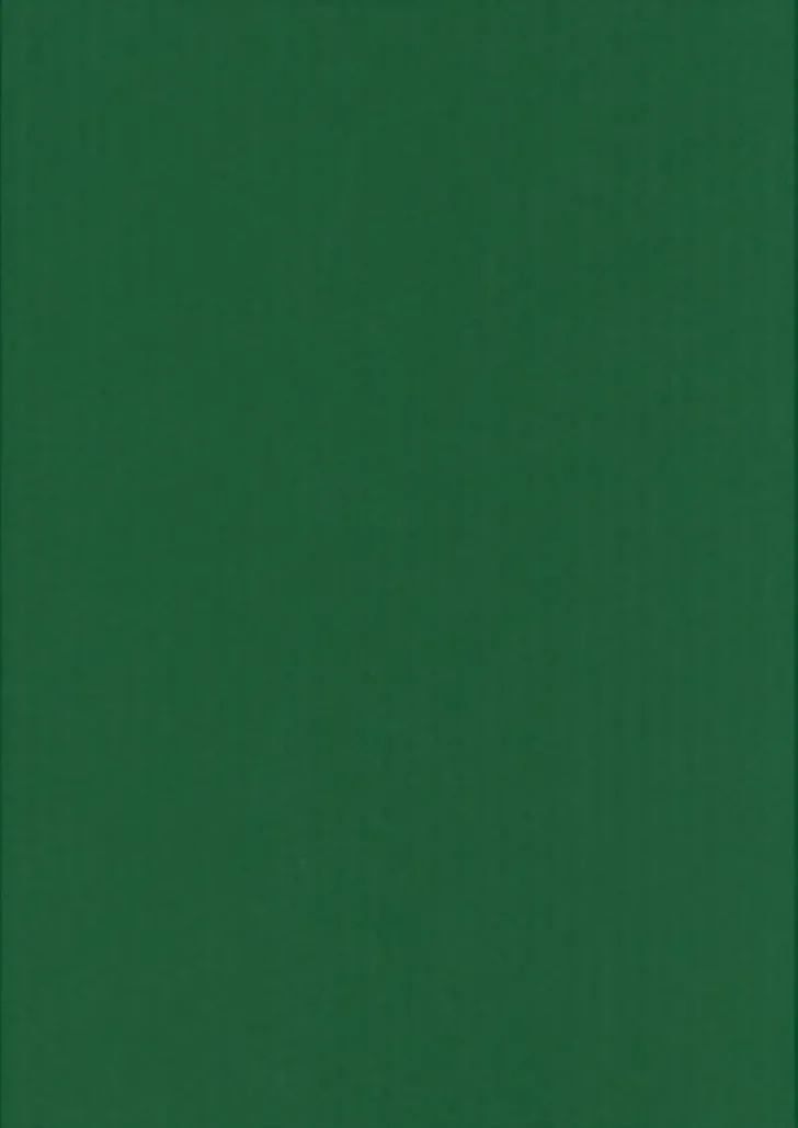 Karto Kortti Ruohonvihrea 10X15Cm 220Gsm 10Kpl/Pss