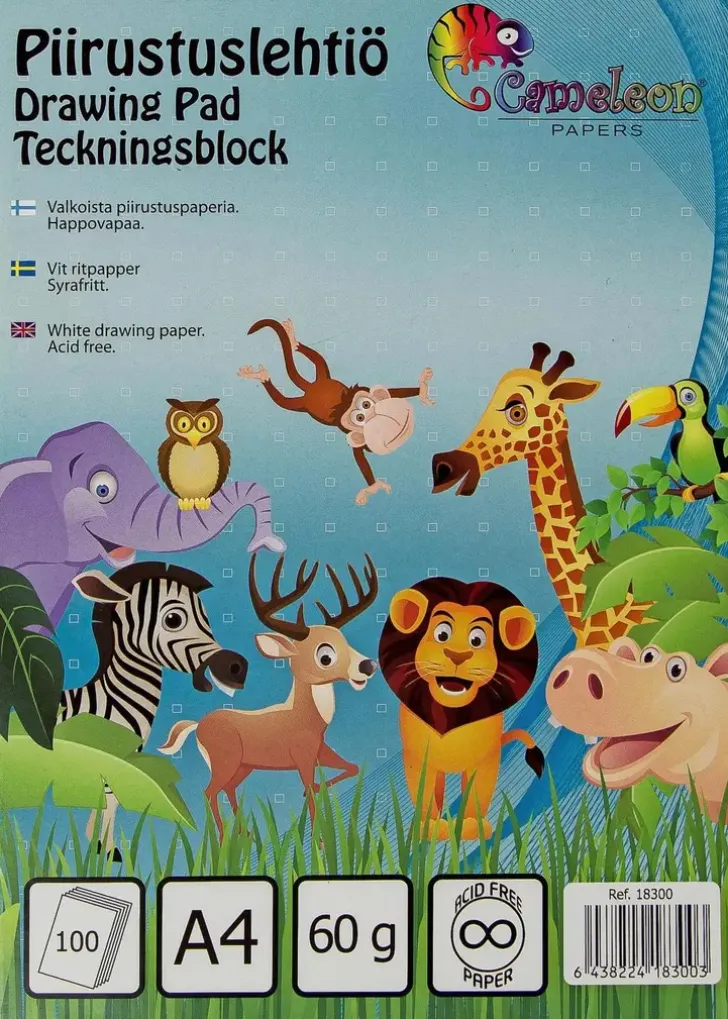 Karto Piirustuslehtio A4/100