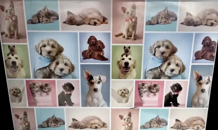 Kirjoitusalusta 40 X 60 Cm