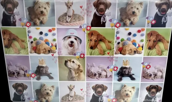 Kirjoitusalusta 40 X 60 Cm