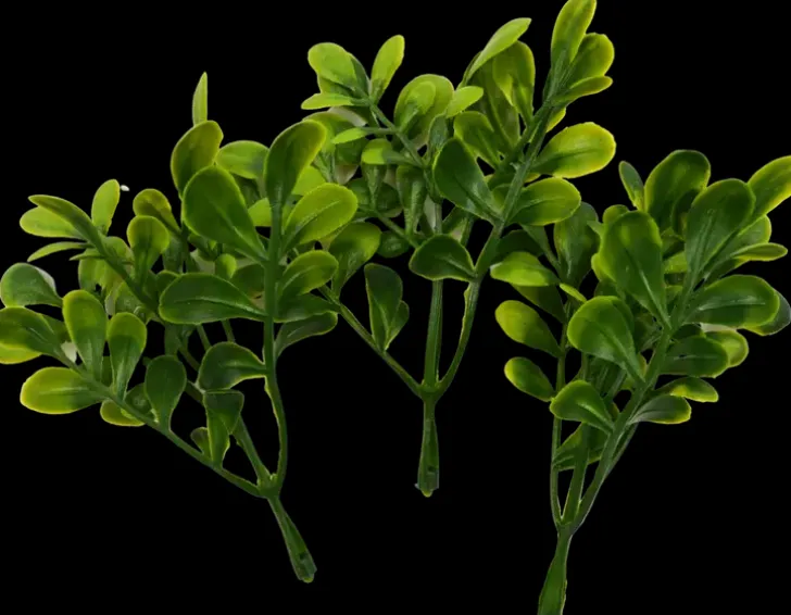 Koristevarpu, 3Kpl/Pss