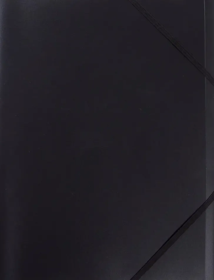 Memoris Precious Kulmalukkokansio A4