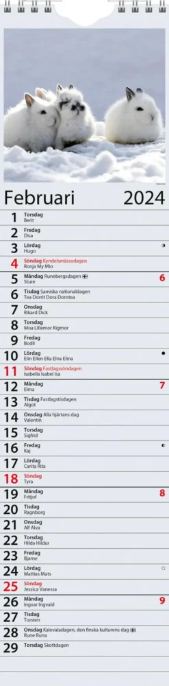 Seinakalenteri Kotimuistio/Hemkalendern