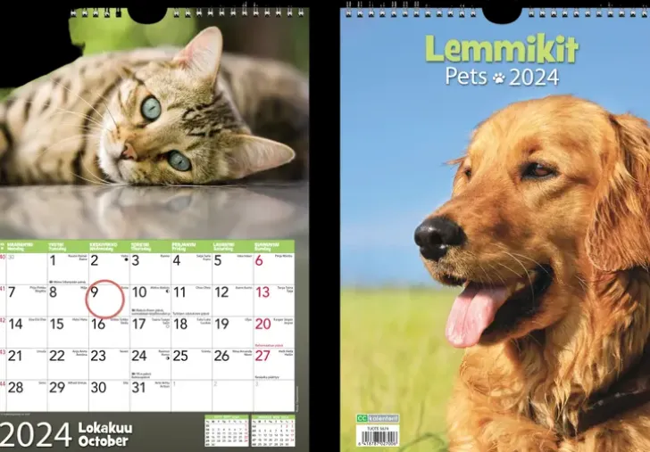 Seinakalenteri Lemmikit 2024