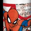 Stor Juomapullo Spiderman 6,2 Dl